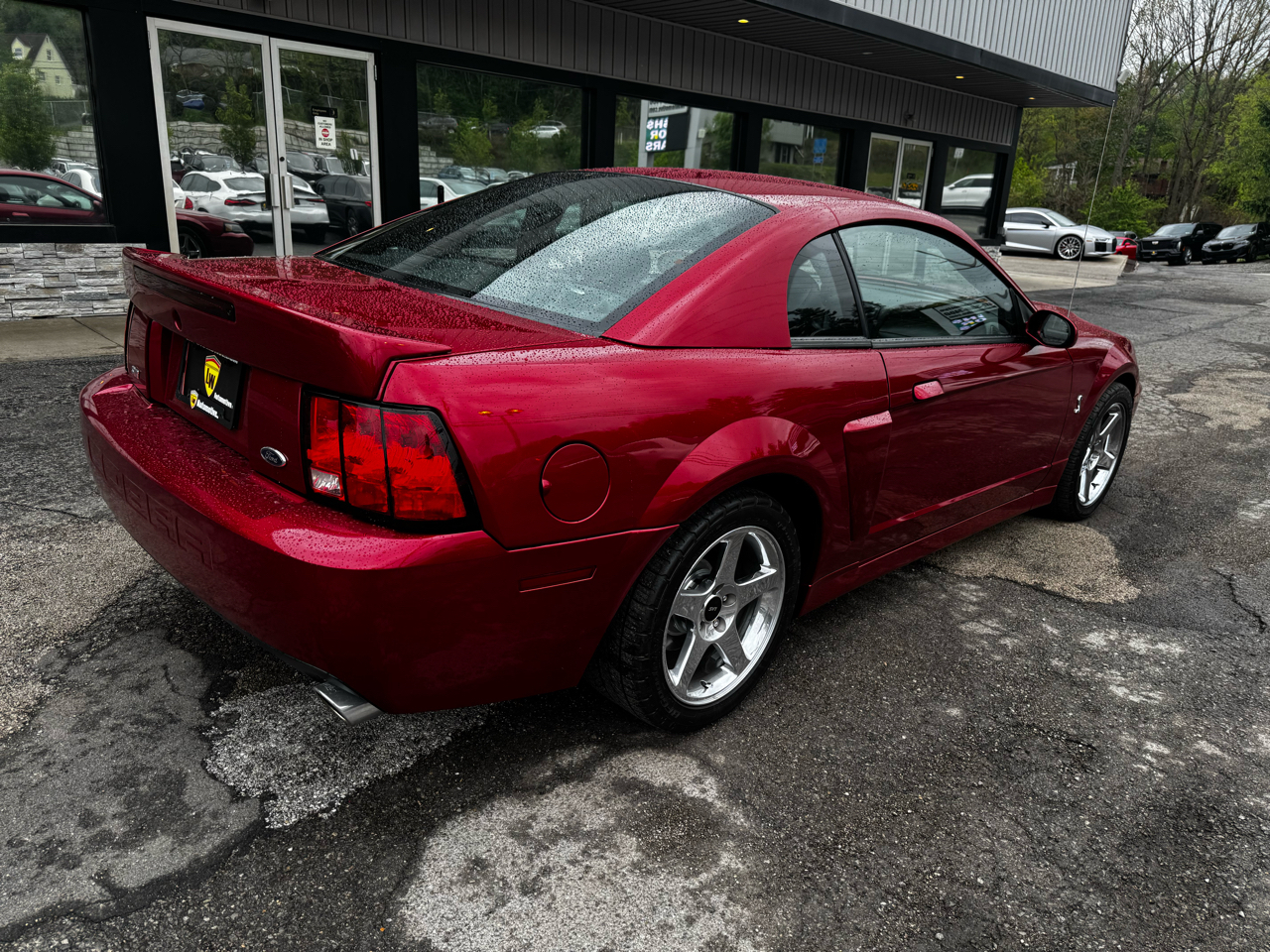 Ford Mustang 2dr Cpe SVT Cobra 2004