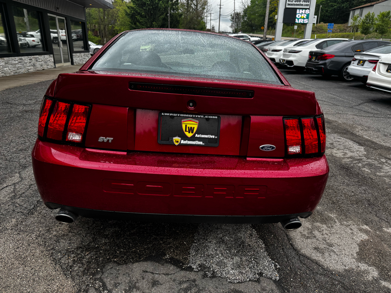 Ford Mustang 2dr Cpe SVT Cobra 2004
