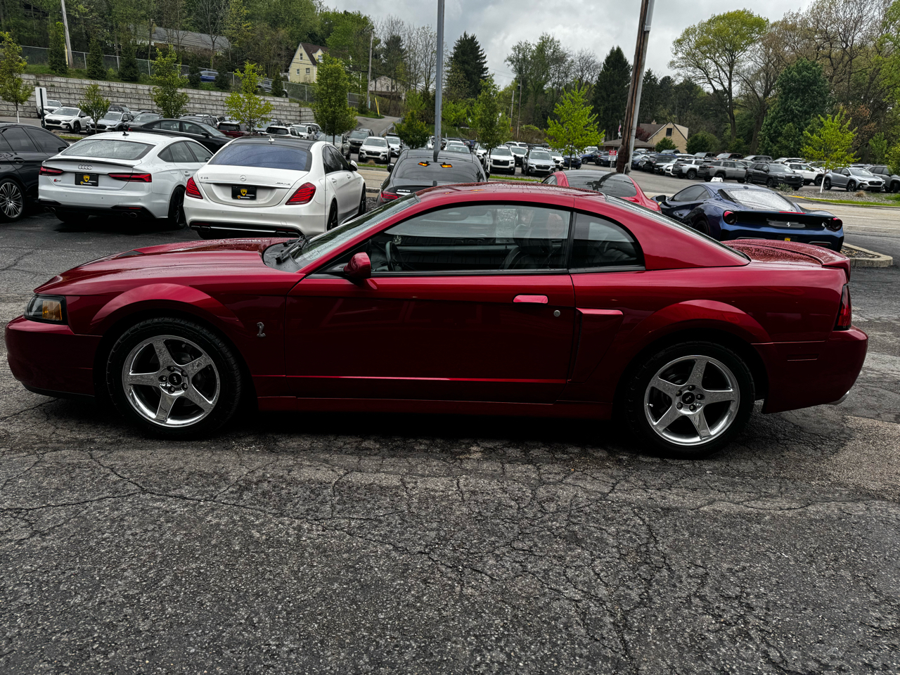 Ford Mustang 2dr Cpe SVT Cobra 2004