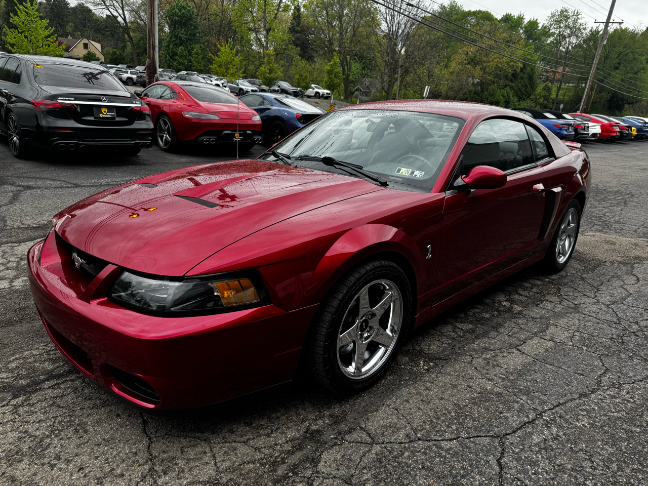 Ford Mustang 2dr Cpe SVT Cobra 2004