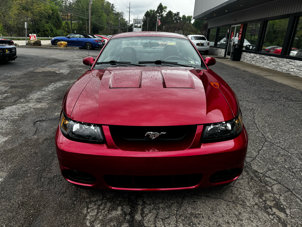 Ford Mustang 2dr Cpe SVT Cobra 2004