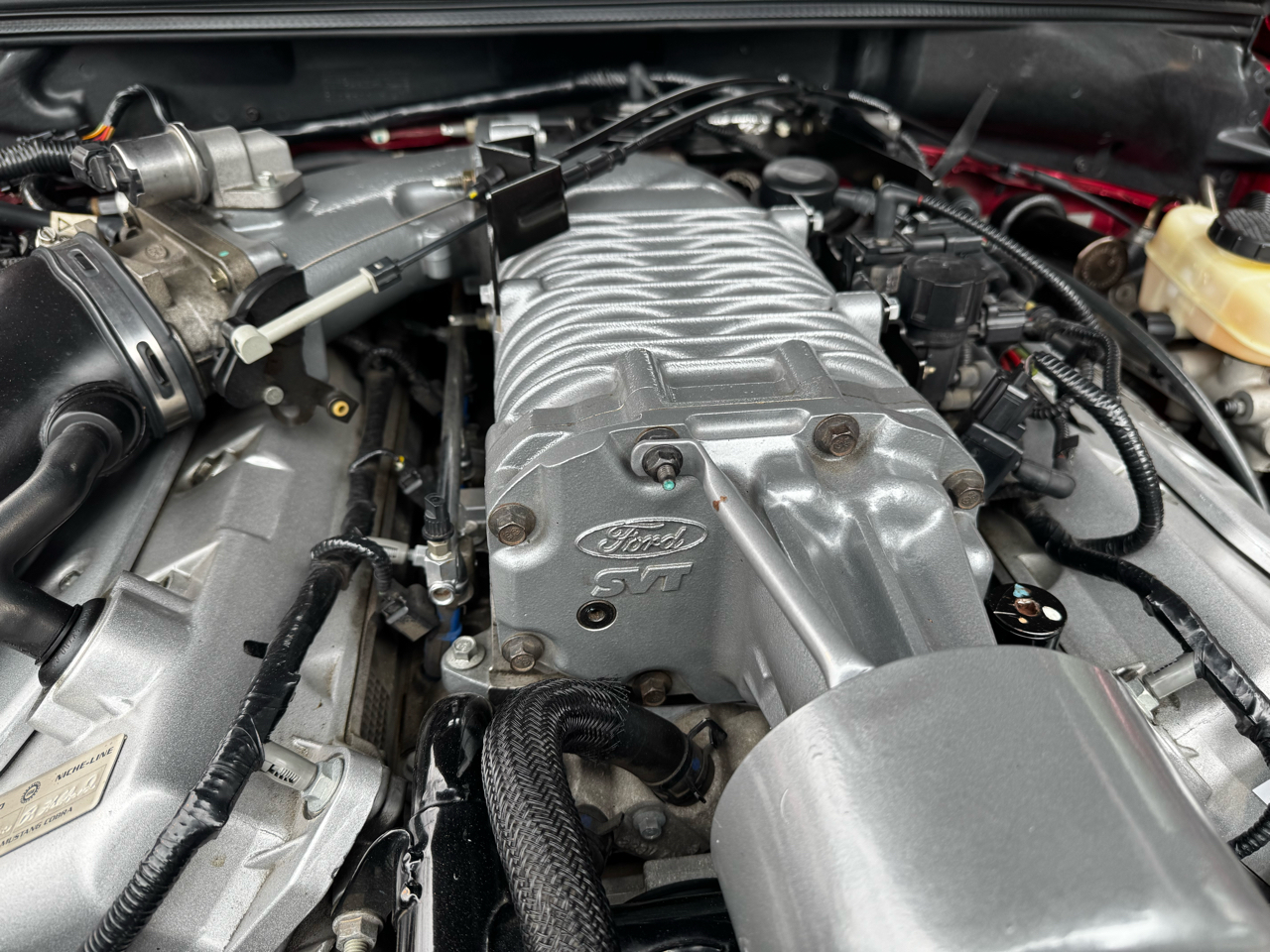 Ford Mustang 2dr Cpe SVT Cobra 2004