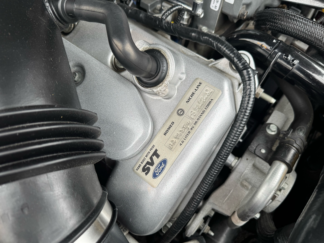 Ford Mustang 2dr Cpe SVT Cobra 2004