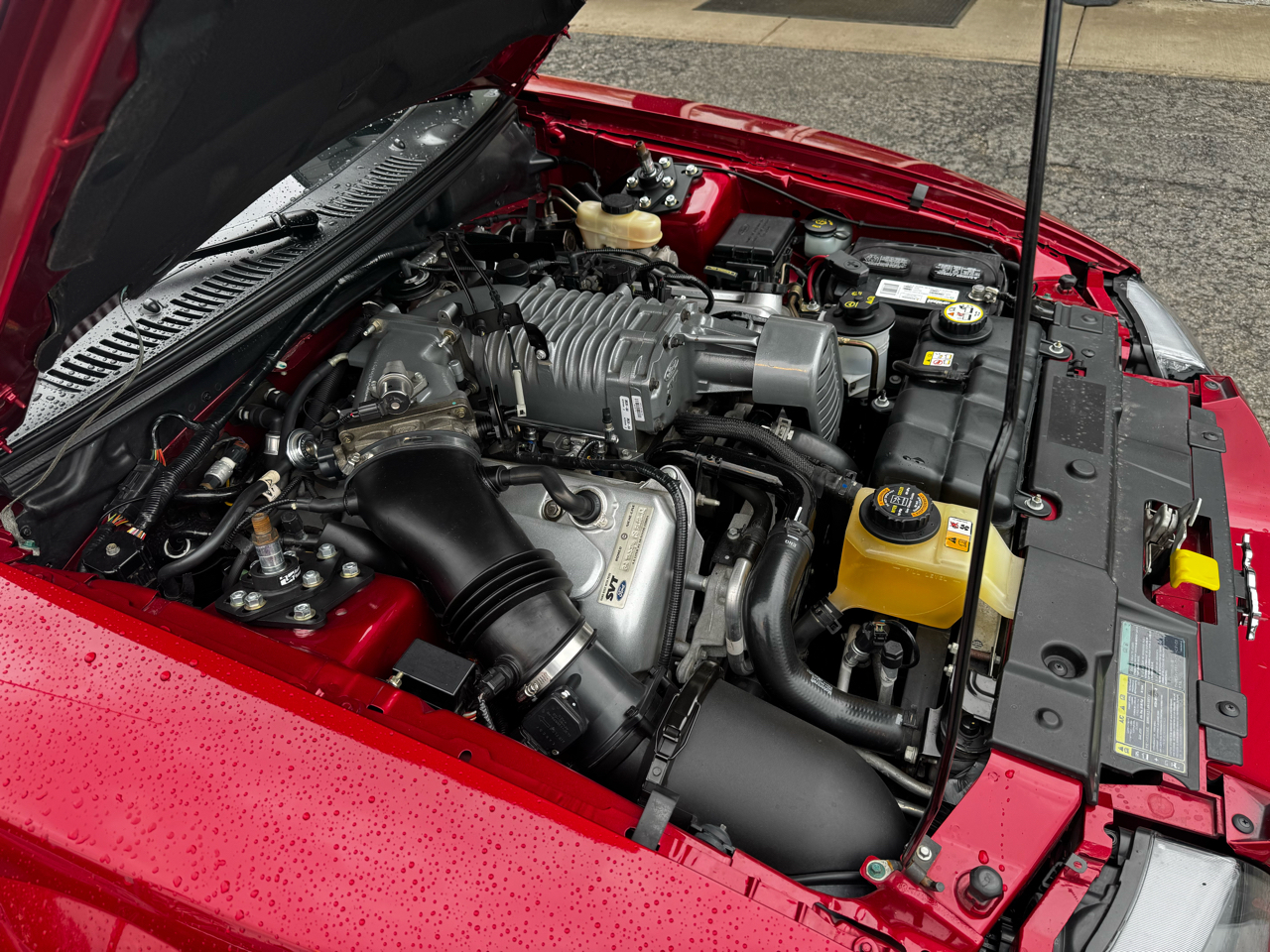 Ford Mustang 2dr Cpe SVT Cobra 2004