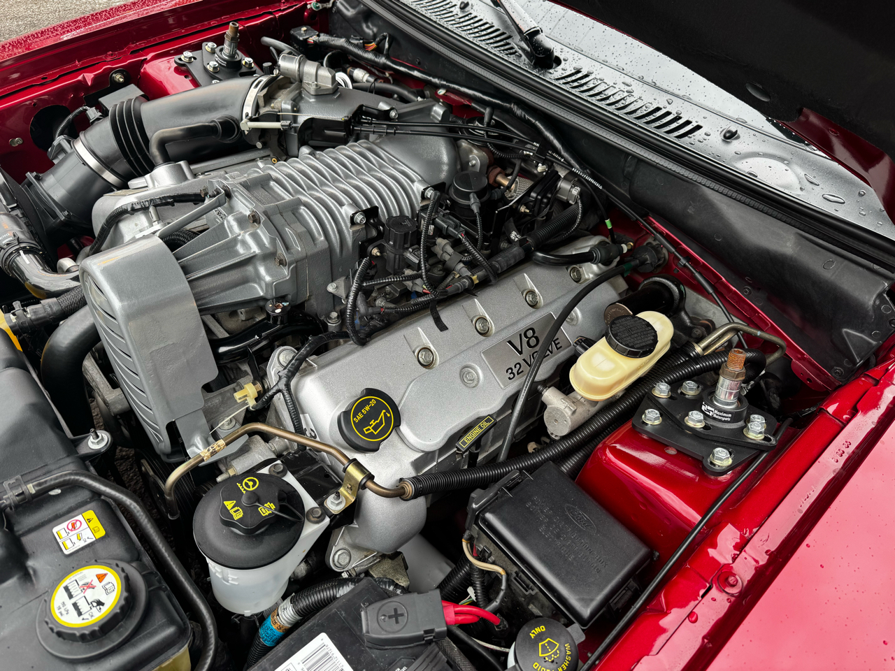 Ford Mustang 2dr Cpe SVT Cobra 2004