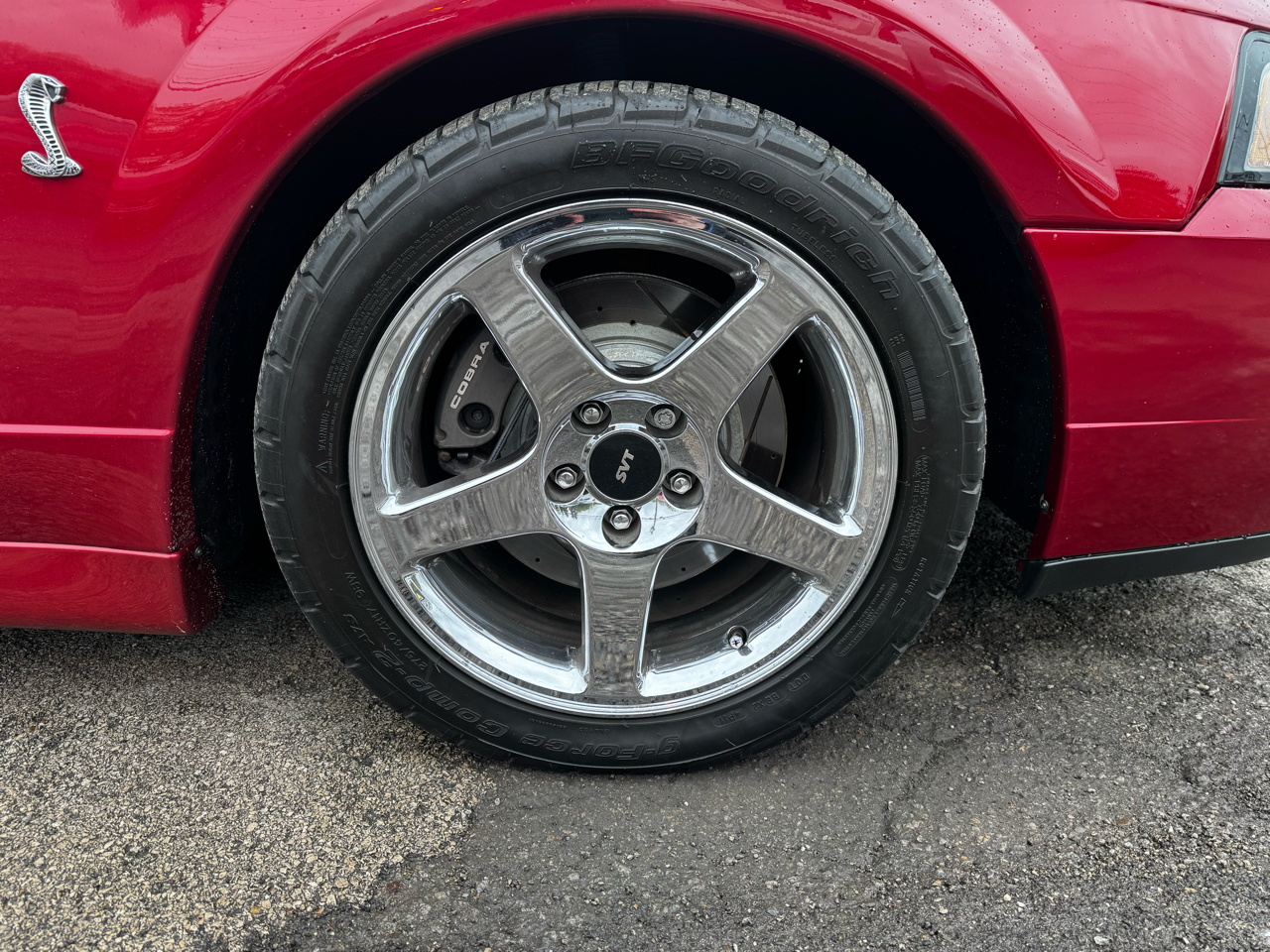 Ford Mustang 2dr Cpe SVT Cobra 2004