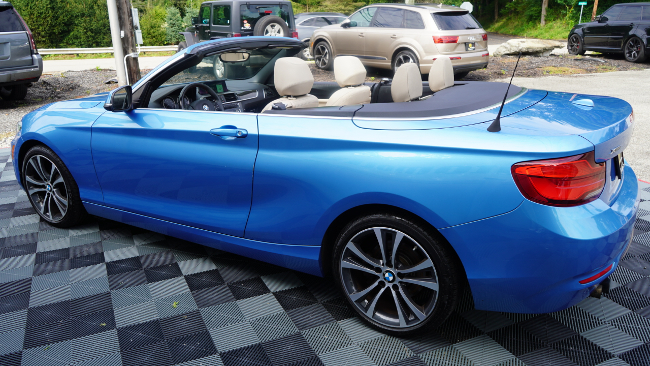 BMW 2 Series 230i xDrive Convertible 2018
