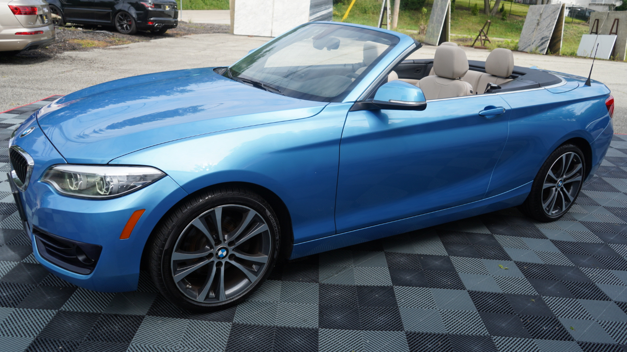 BMW 2 Series 230i xDrive Convertible 2018