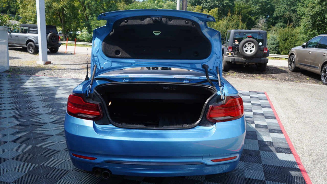 BMW 2 Series 230i xDrive Convertible 2018