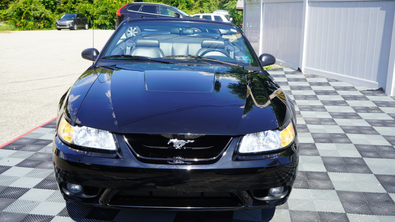 Ford Mustang 2dr Convertible SVT Cobra 1999