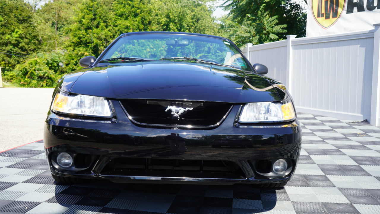 Ford Mustang 2dr Convertible SVT Cobra 1999