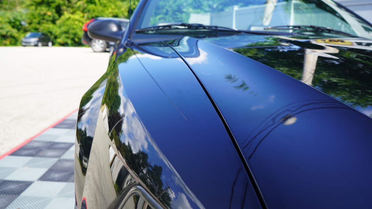 Ford Mustang 2dr Convertible SVT Cobra 1999