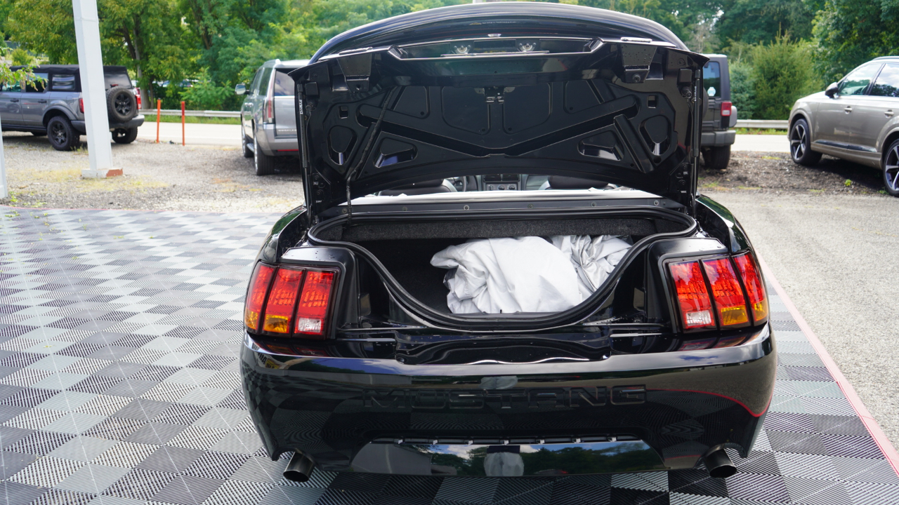 Ford Mustang 2dr Convertible SVT Cobra 1999