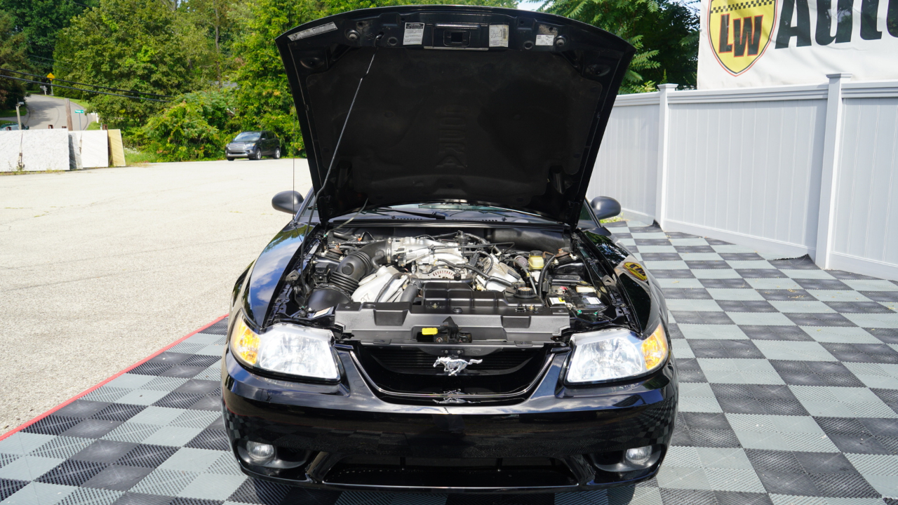 Ford Mustang 2dr Convertible SVT Cobra 1999