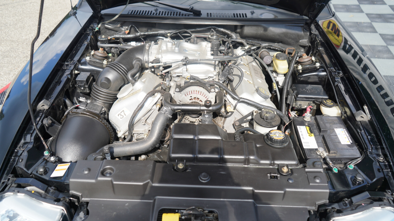 Ford Mustang 2dr Convertible SVT Cobra 1999