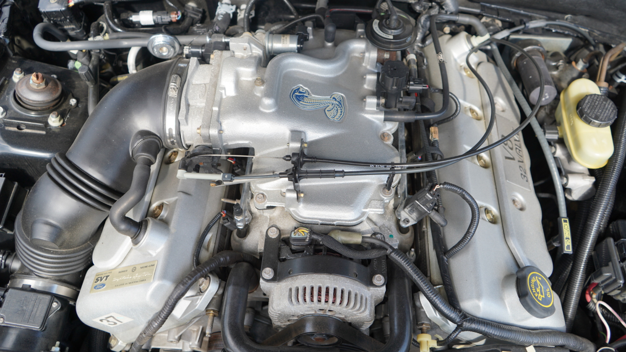 Ford Mustang 2dr Convertible SVT Cobra 1999