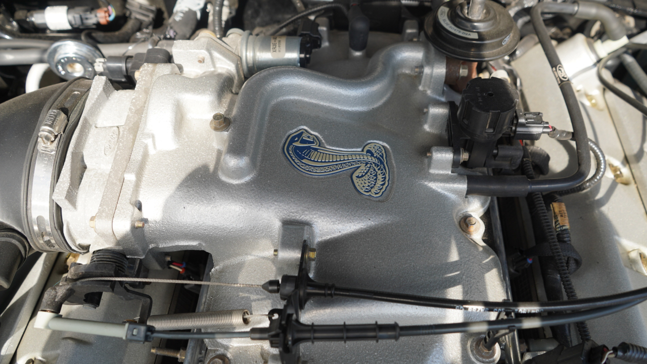 Ford Mustang 2dr Convertible SVT Cobra 1999