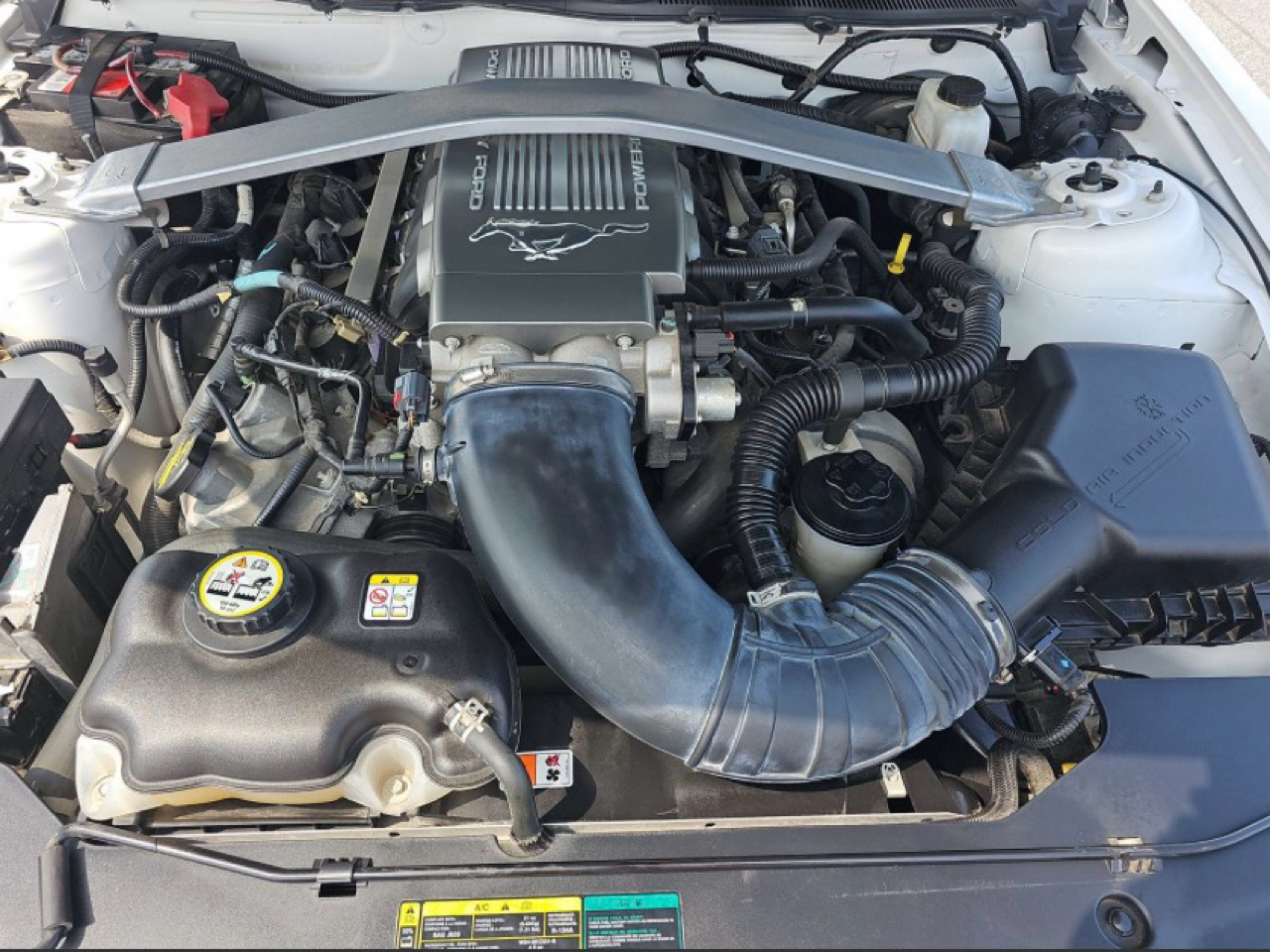 Ford Mustang 2dr Cpe GT 2010