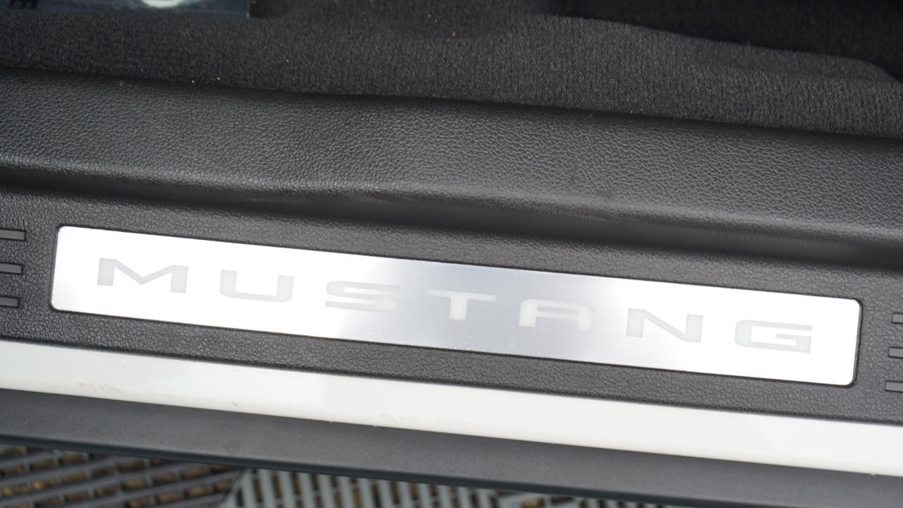 Ford Mustang 2dr Cpe GT 2010