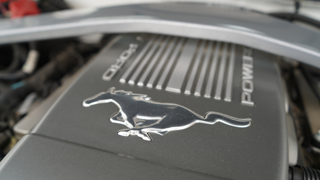 Ford Mustang 2dr Cpe GT 2010