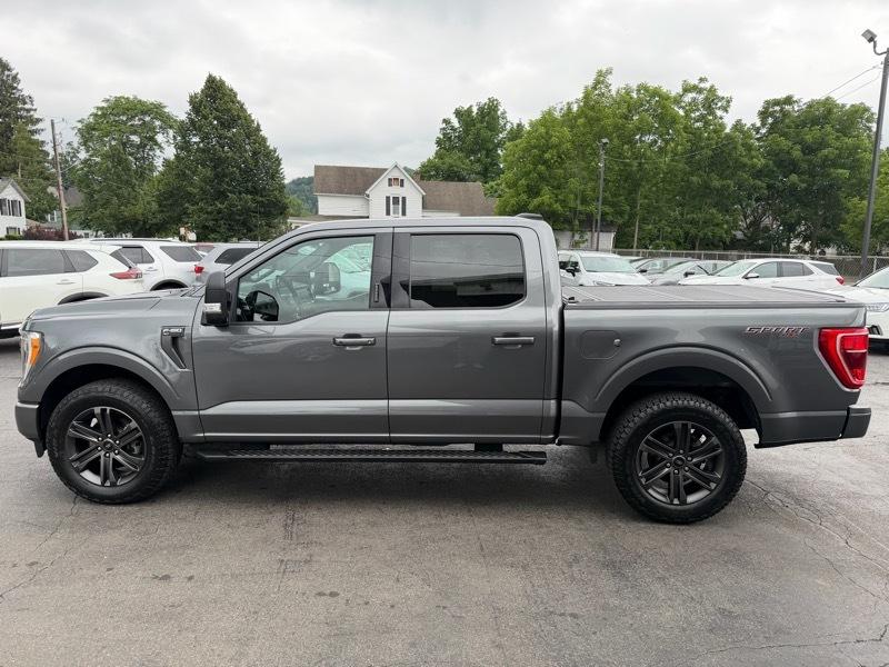Ford F-150 XLT SuperCrew 5.5-ft. Bed 4WD 2022