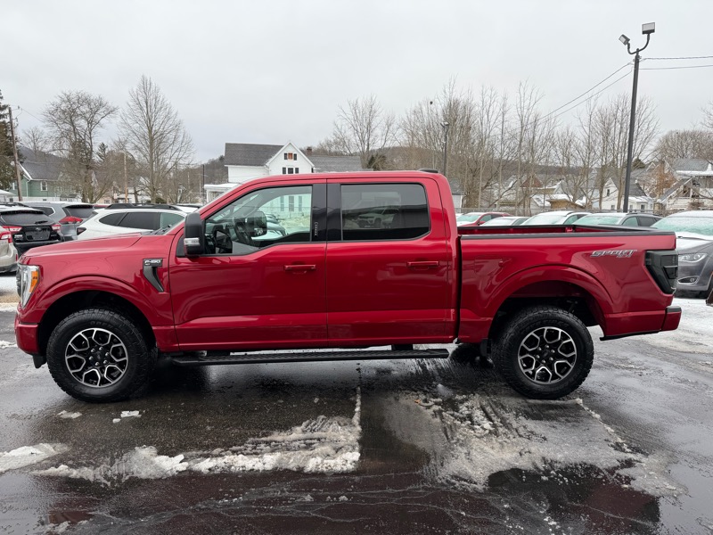 Ford F-150 XLT SuperCrew 5.5-ft. Bed 4WD 2021