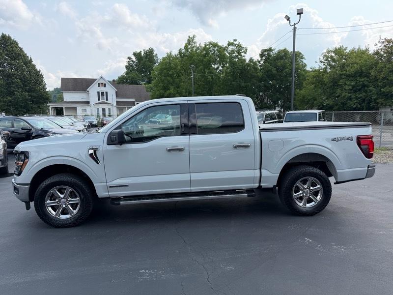 Ford F-150 XLT SuperCrew 4WD 2024