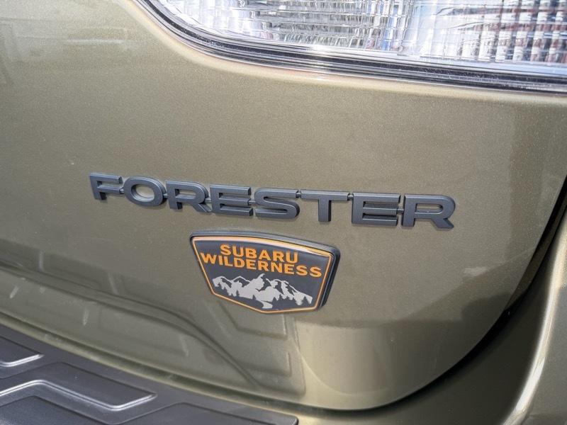 Subaru Forester Wilderness 2023
