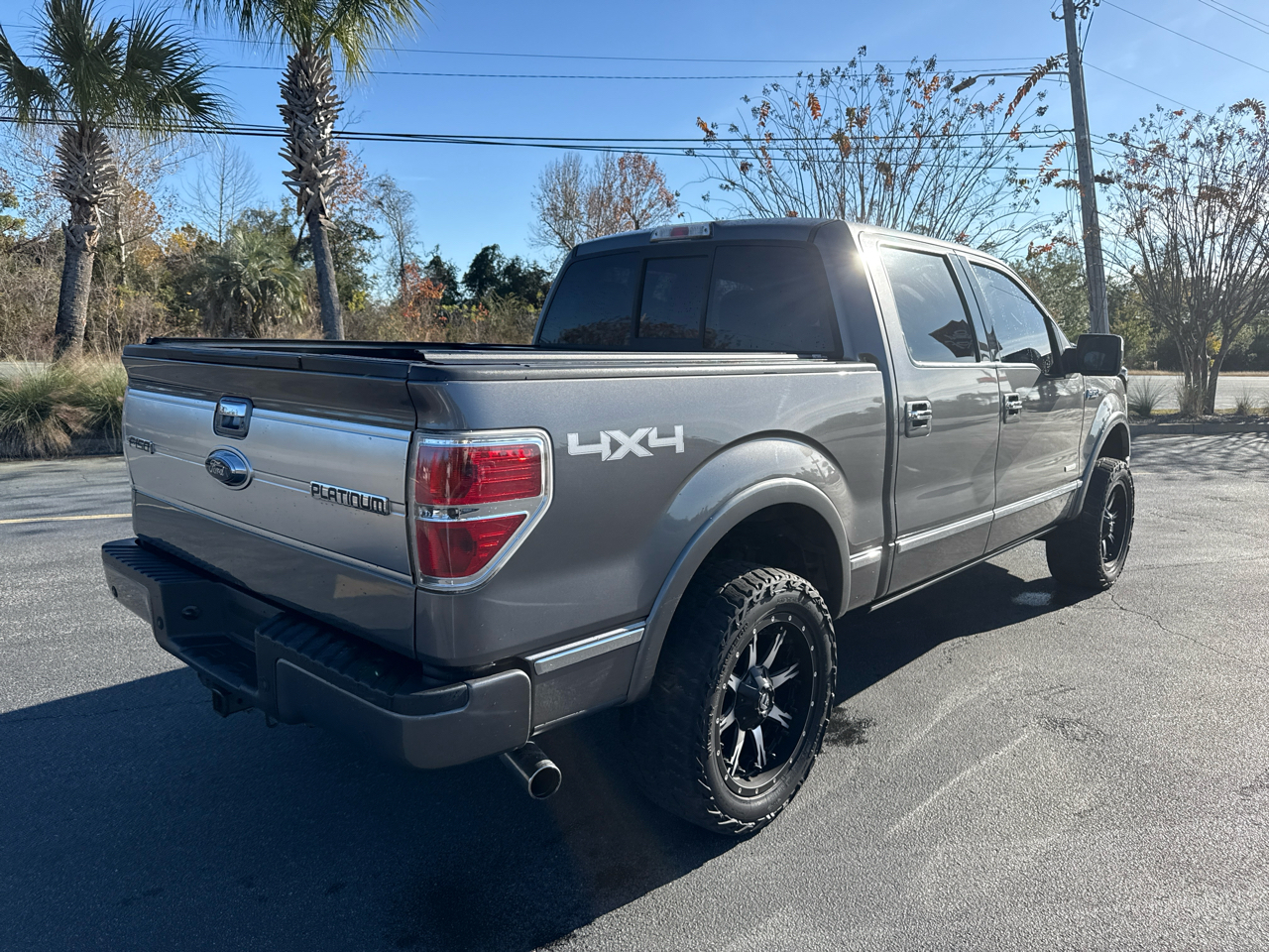 Ford F-150 Platinum SuperCrew 4WD 2013
