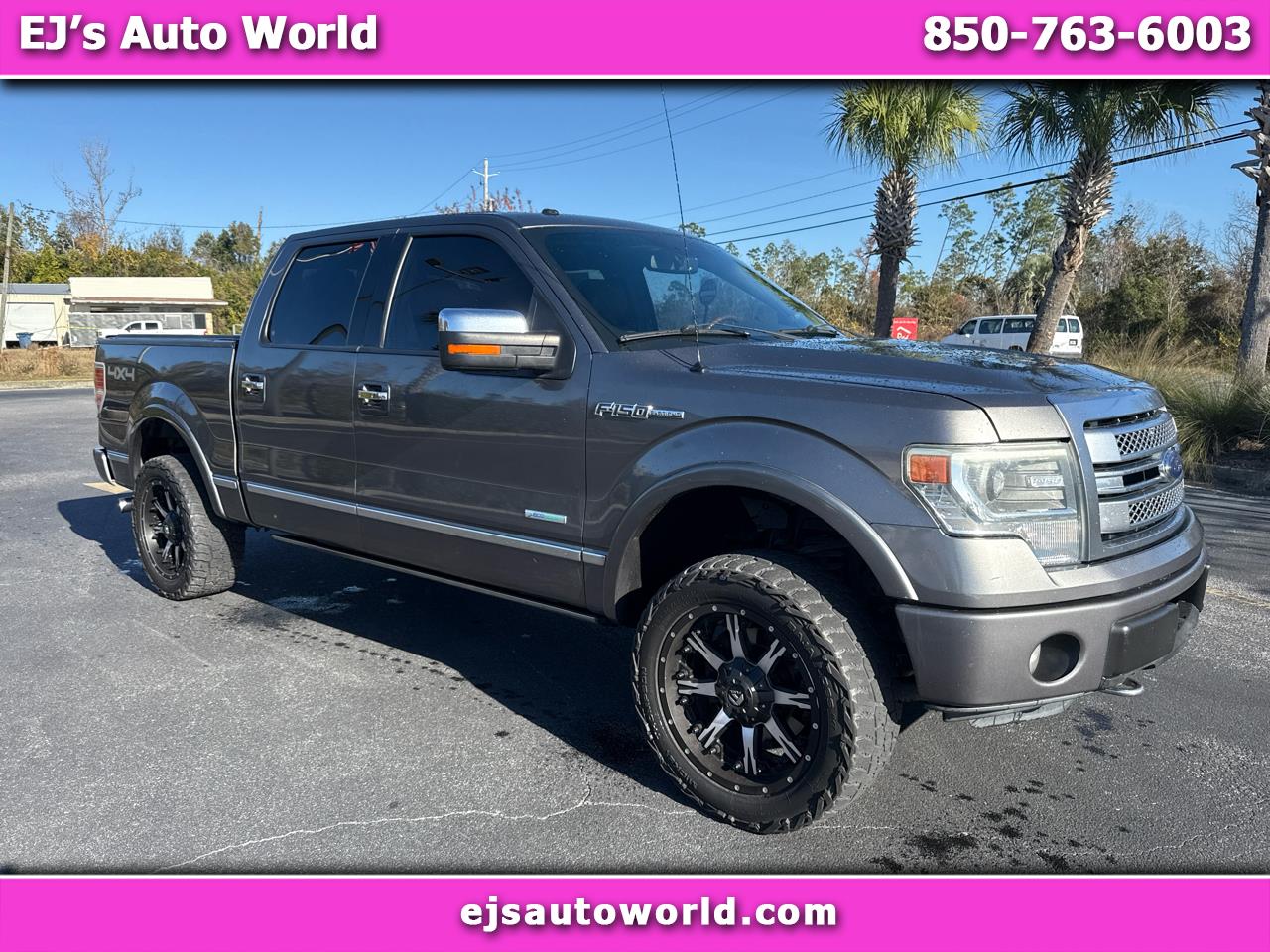 2013 Ford F-150 Platinum SuperCrew 4WD