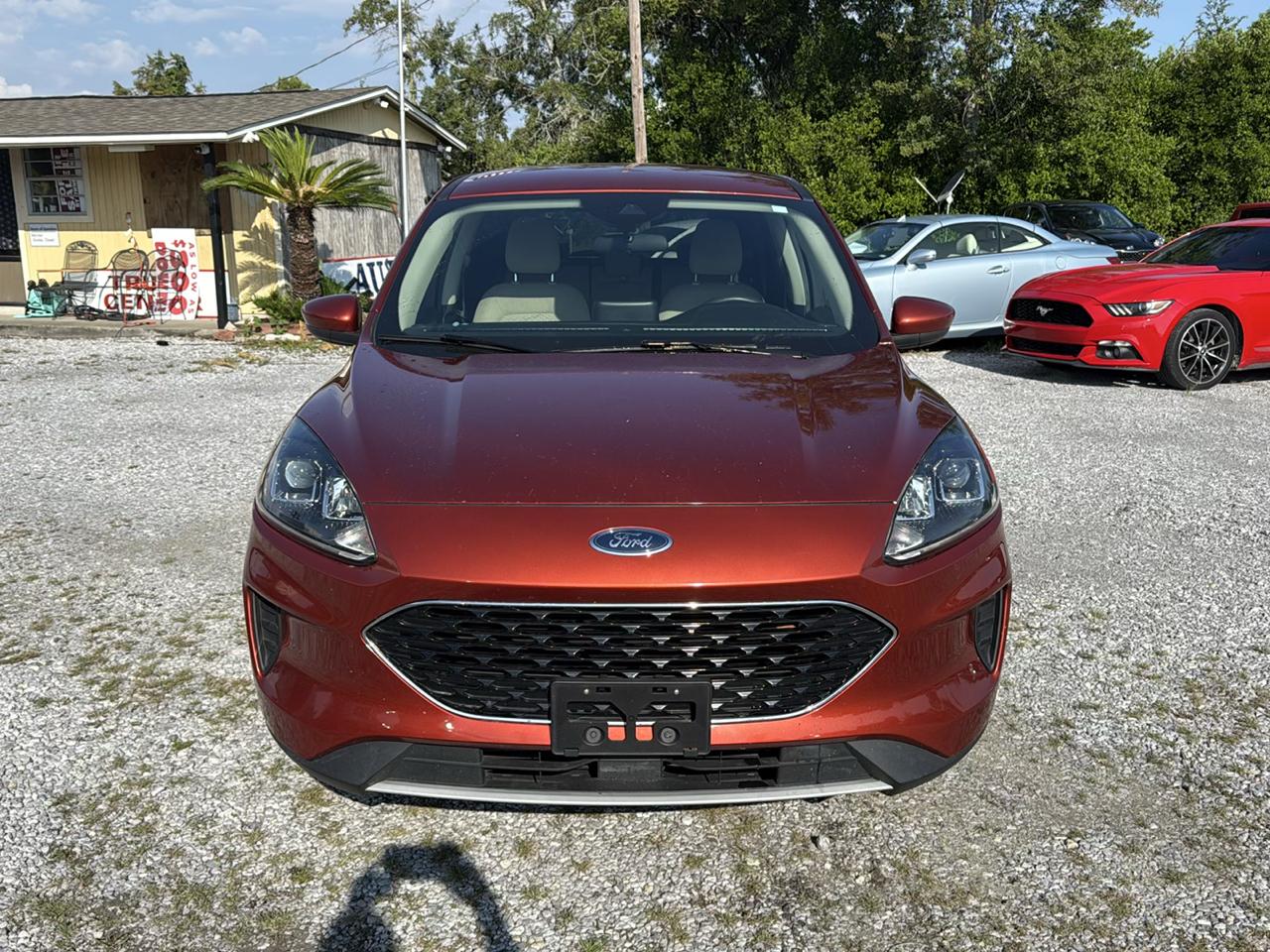 Ford Escape SE AWD 2020
