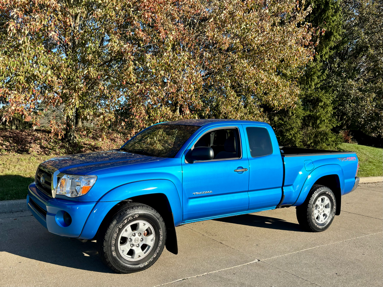 2010 Toyota Tacoma Access Cab 4WD