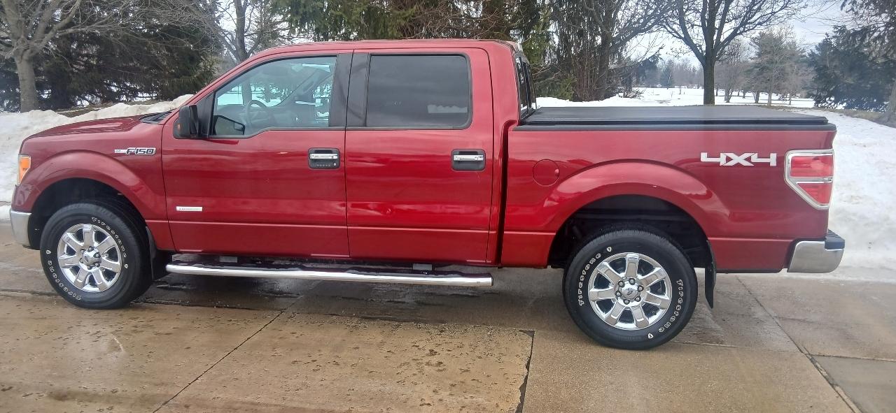Ford F-150 XL SuperCrew 5.5-ft. Bed 4WD 2014