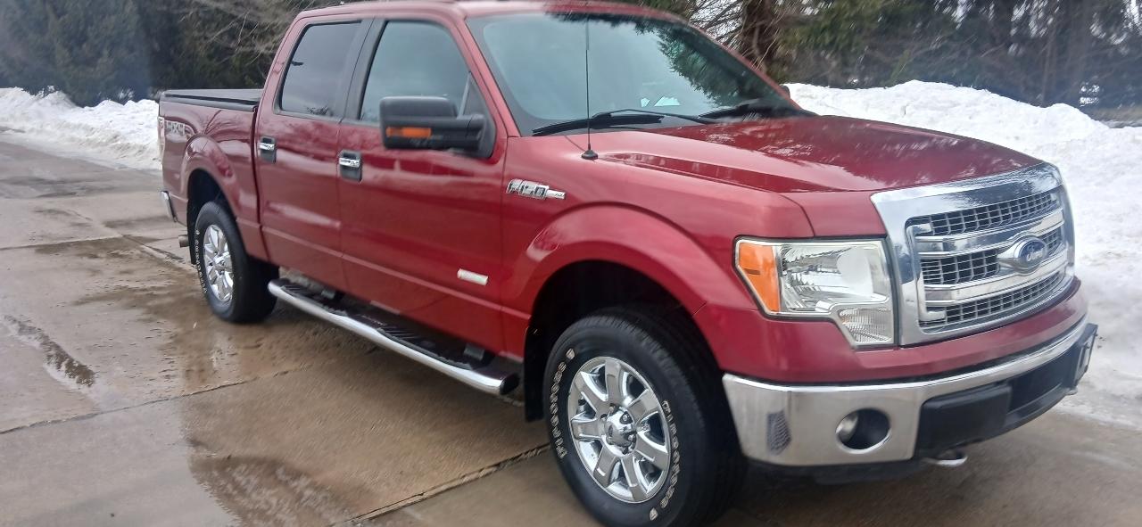Ford F-150 XL SuperCrew 5.5-ft. Bed 4WD 2014