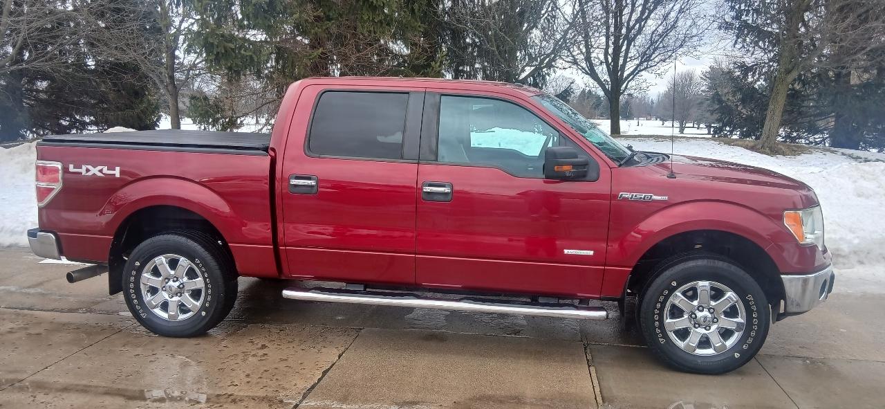 Ford F-150 XL SuperCrew 5.5-ft. Bed 4WD 2014