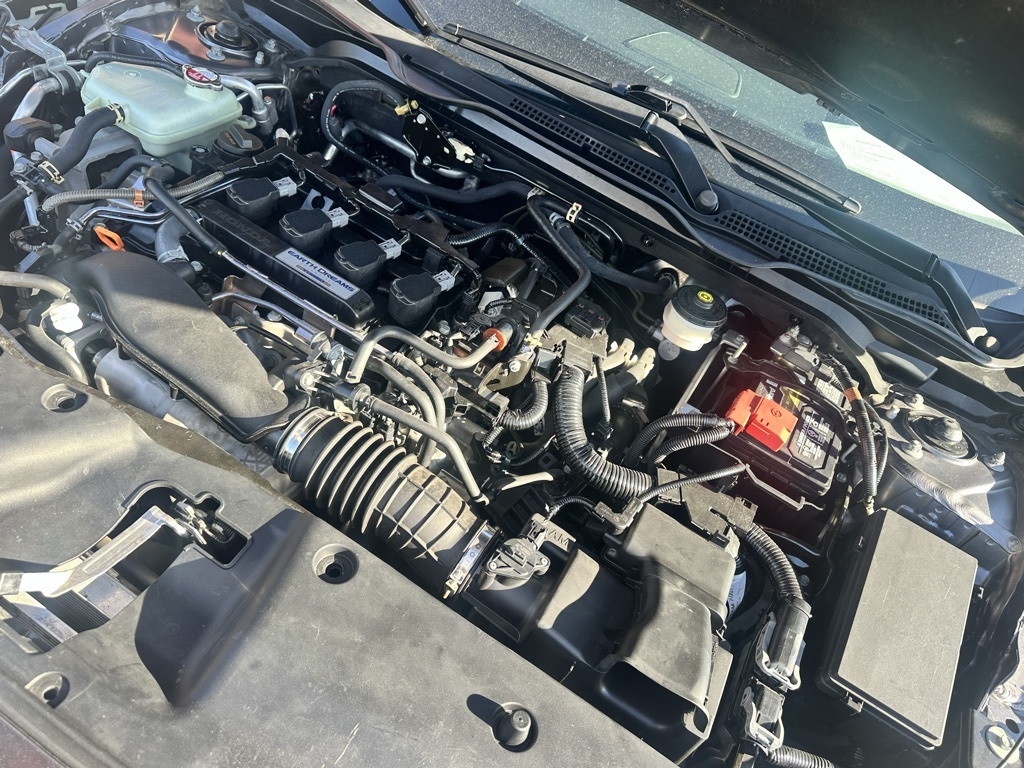 Honda Civic Si Coupe Manual w/Summer Tires 2020