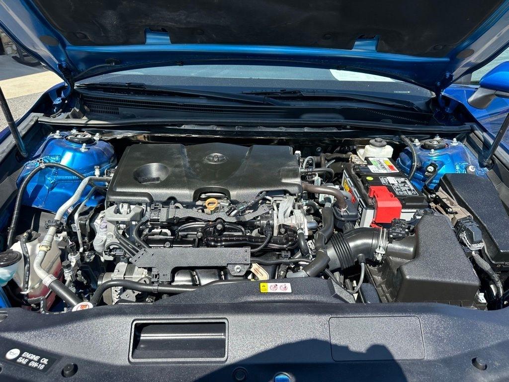 Toyota Camry XLE Auto (Natl) 2019