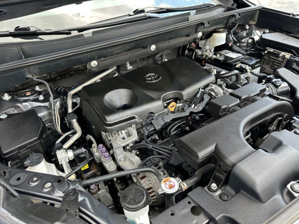 Toyota RAV4 XLE FWD (Natl) 2019