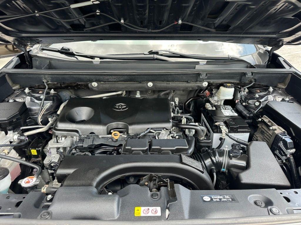 Toyota RAV4 XLE FWD (Natl) 2019