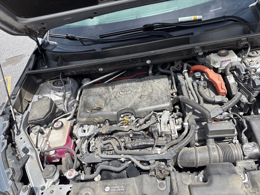 Toyota RAV4 Hybrid XSE AWD (Natl) 2019