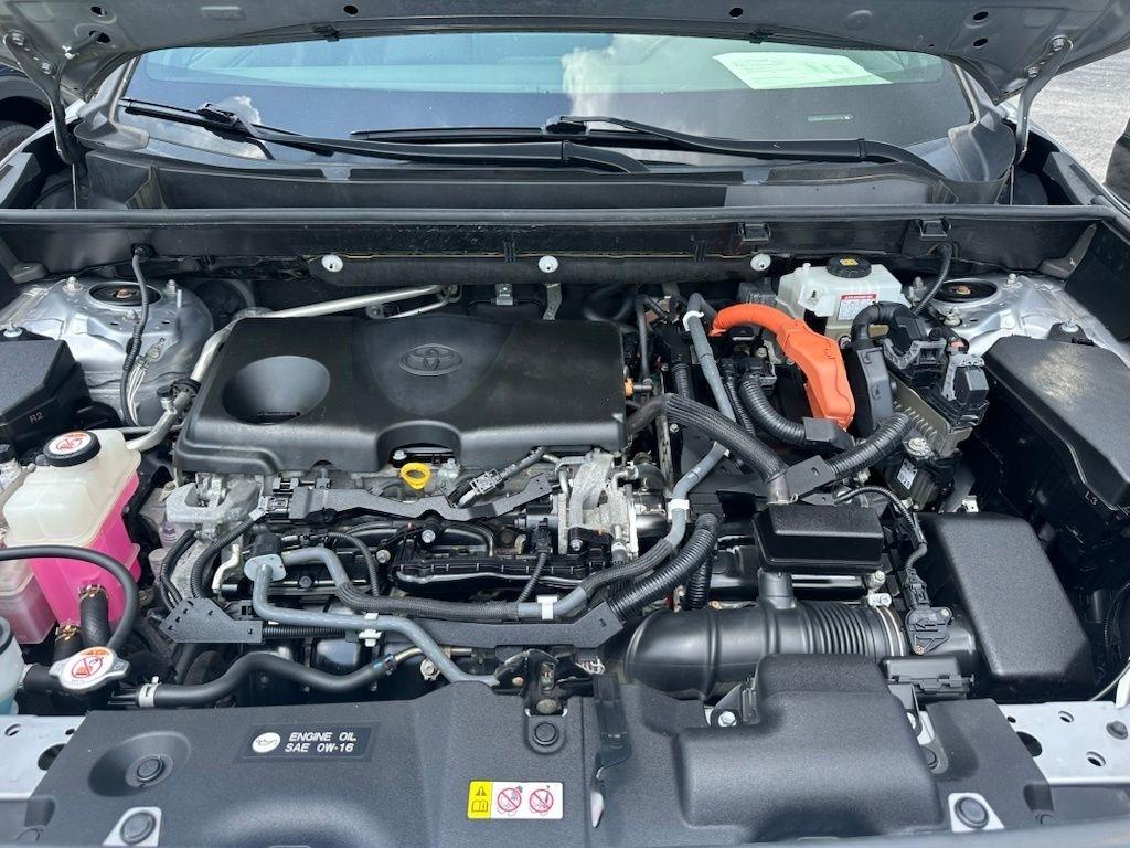 Toyota RAV4 Hybrid XSE AWD (Natl) 2019