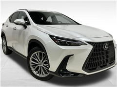 2025 Lexus NX 350h 