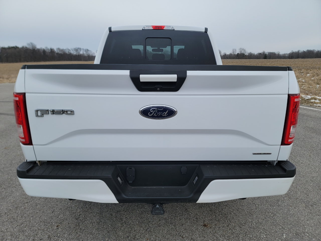 Ford F-150 4WD SuperCrew 145" FX4 2015