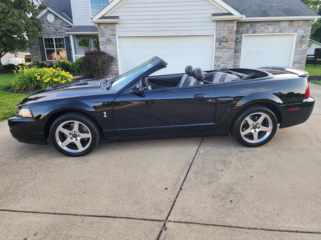 Ford Mustang 2dr Conv SVT Cobra 2003