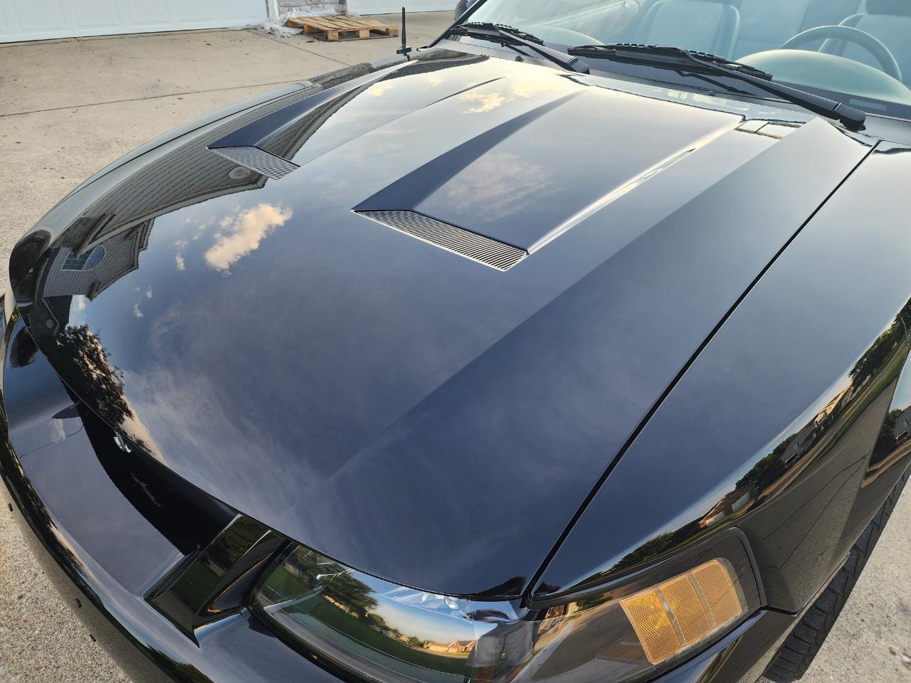 Ford Mustang 2dr Conv SVT Cobra 2003