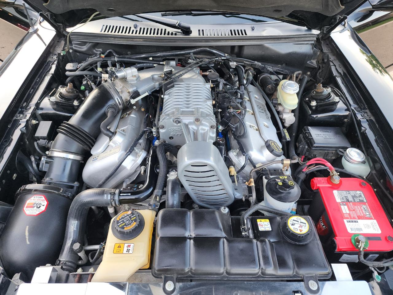 Ford Mustang 2dr Conv SVT Cobra 2003