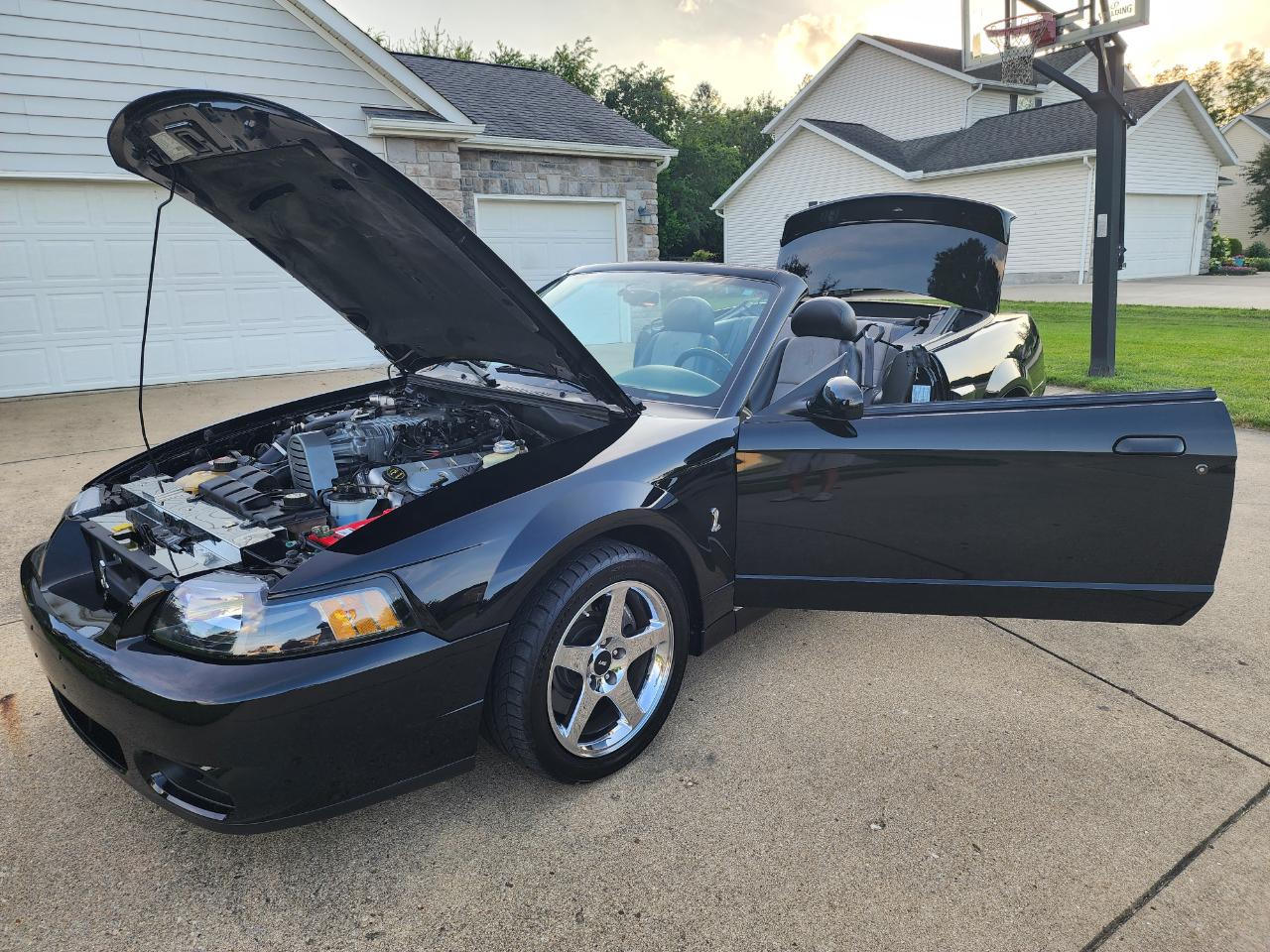 Ford Mustang 2dr Conv SVT Cobra 2003