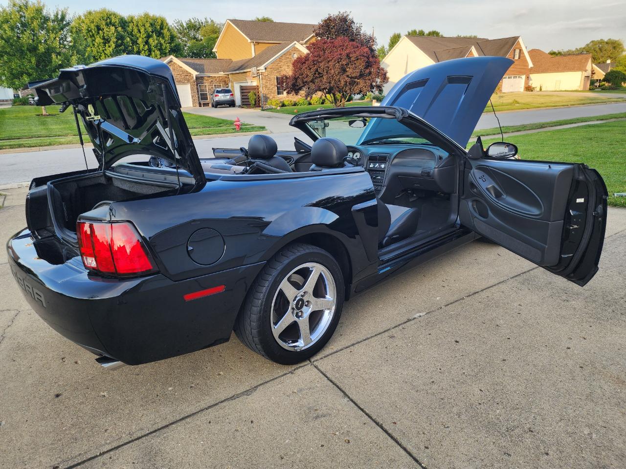 Ford Mustang 2dr Conv SVT Cobra 2003
