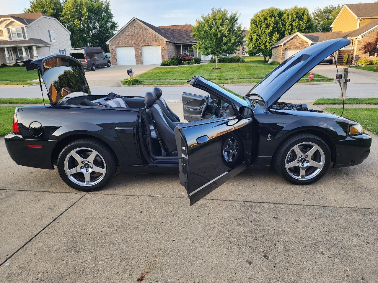 Ford Mustang 2dr Conv SVT Cobra 2003