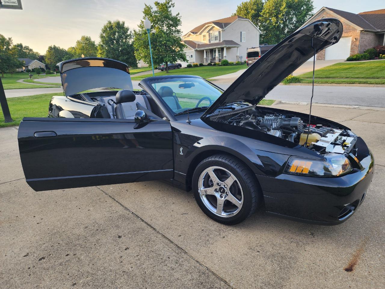 Ford Mustang 2dr Conv SVT Cobra 2003